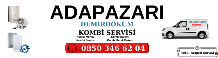 Adapazarı Demirdöküm Servisi