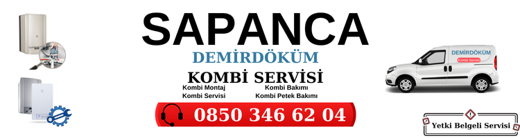 Sapanca Demirdöküm Servisi